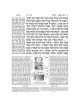 Jaffa Edition Hebrew-Only Chumash Mid-Size | Books | Judaica